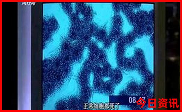 自驾游老君山攻略